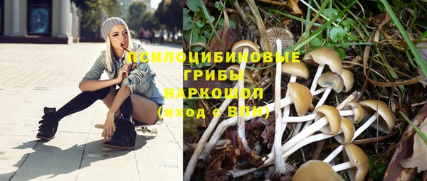 MESCALINE Абаза